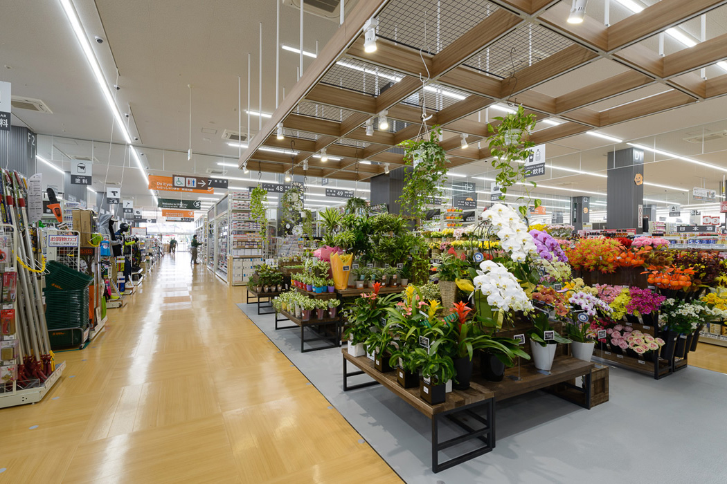 空間プロデュース事業 事例「セキチュー流山おおたかの森店 空間プロデュース事業 事例「セキチュー流山おおたかの森店